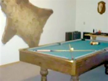 קנאי All Seasons B&B מראה חיצוני תמונה